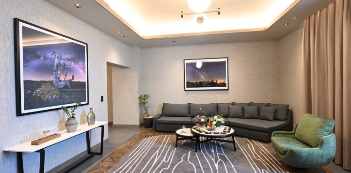king-suit-1409-living-room-2