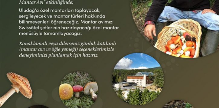 swissotel-mantar-toplama-2