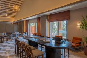 thelifeco-swissotel-uludag